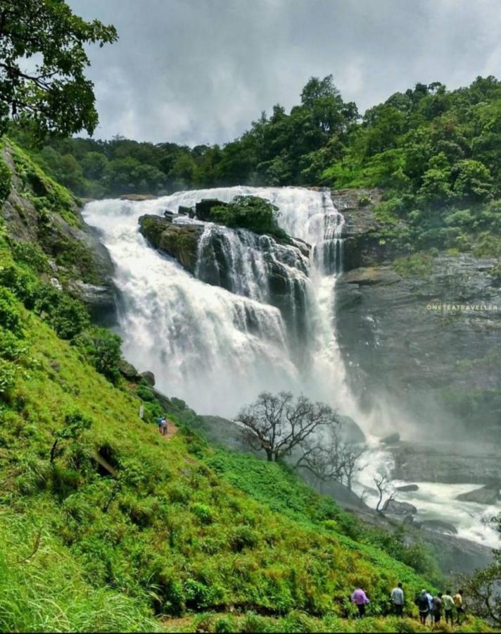 Coorg Coffee Park Farmstay Somvārpet Екстериор снимка