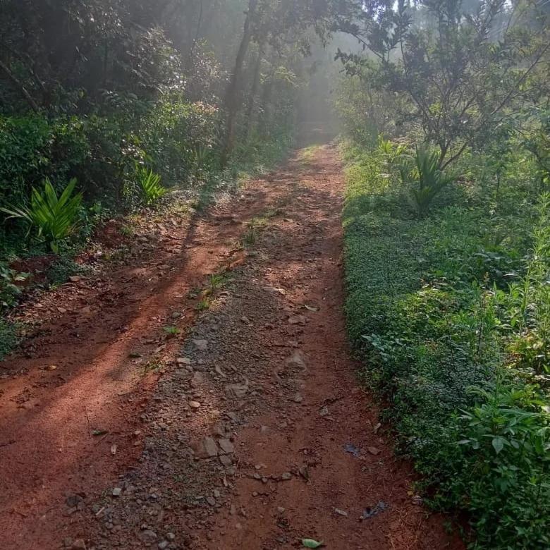 Coorg Coffee Park Farmstay Somvārpet Екстериор снимка
