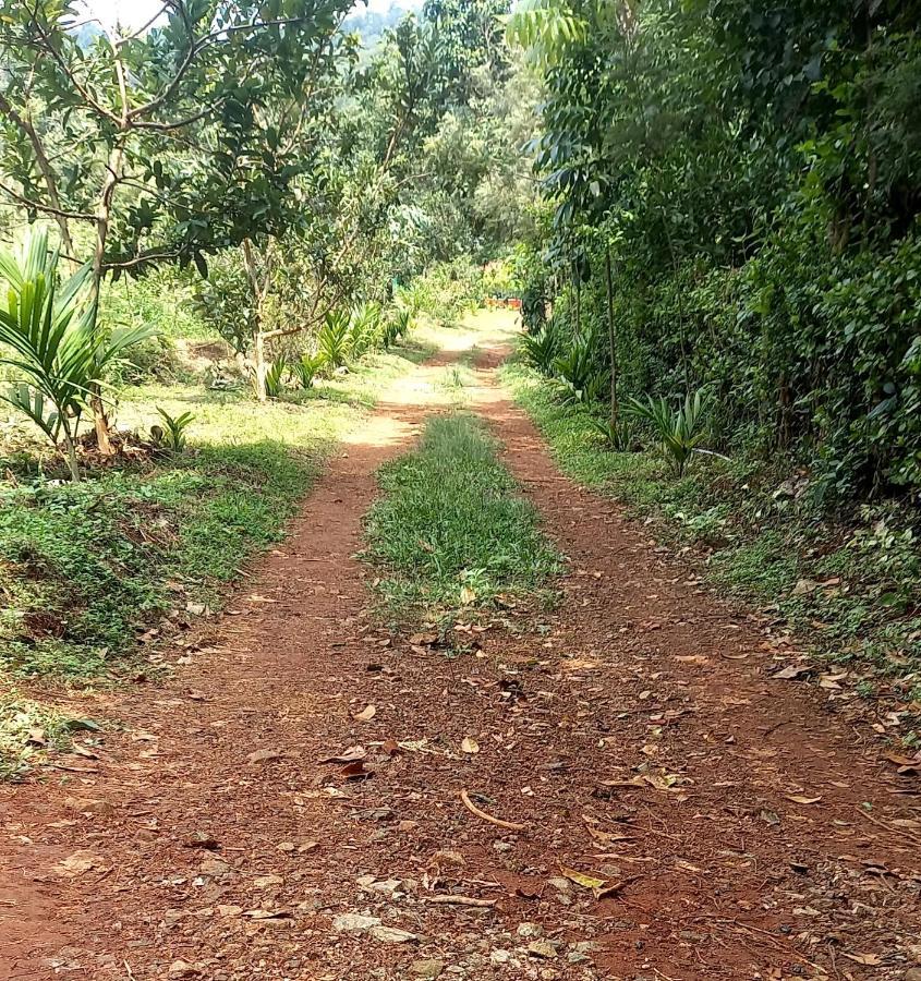 Coorg Coffee Park Farmstay Somvārpet Екстериор снимка