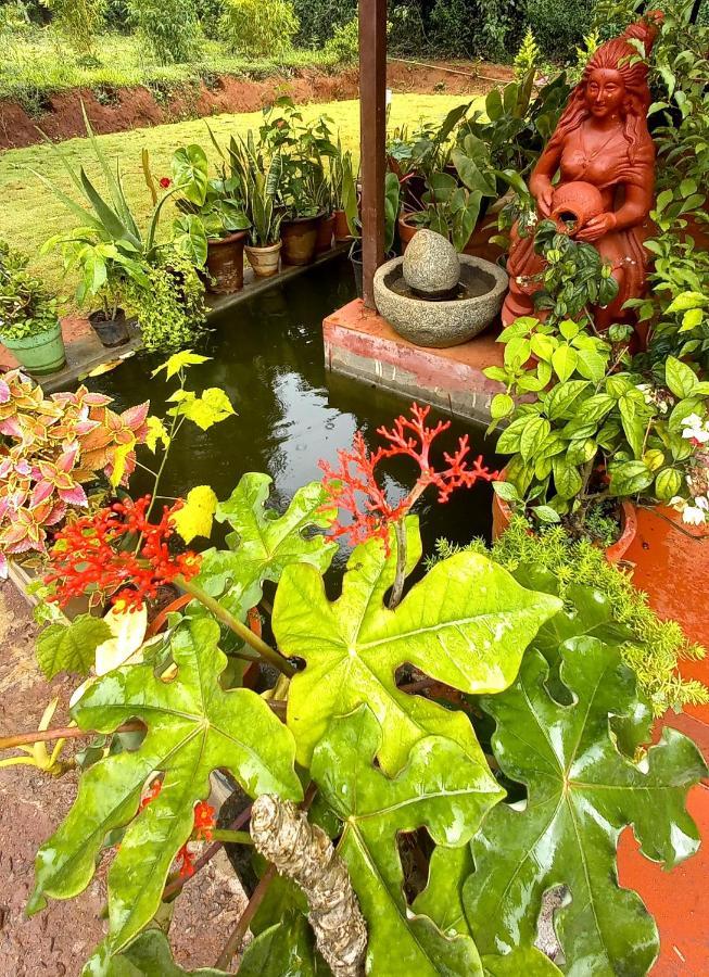 Coorg Coffee Park Farmstay Somvārpet Екстериор снимка