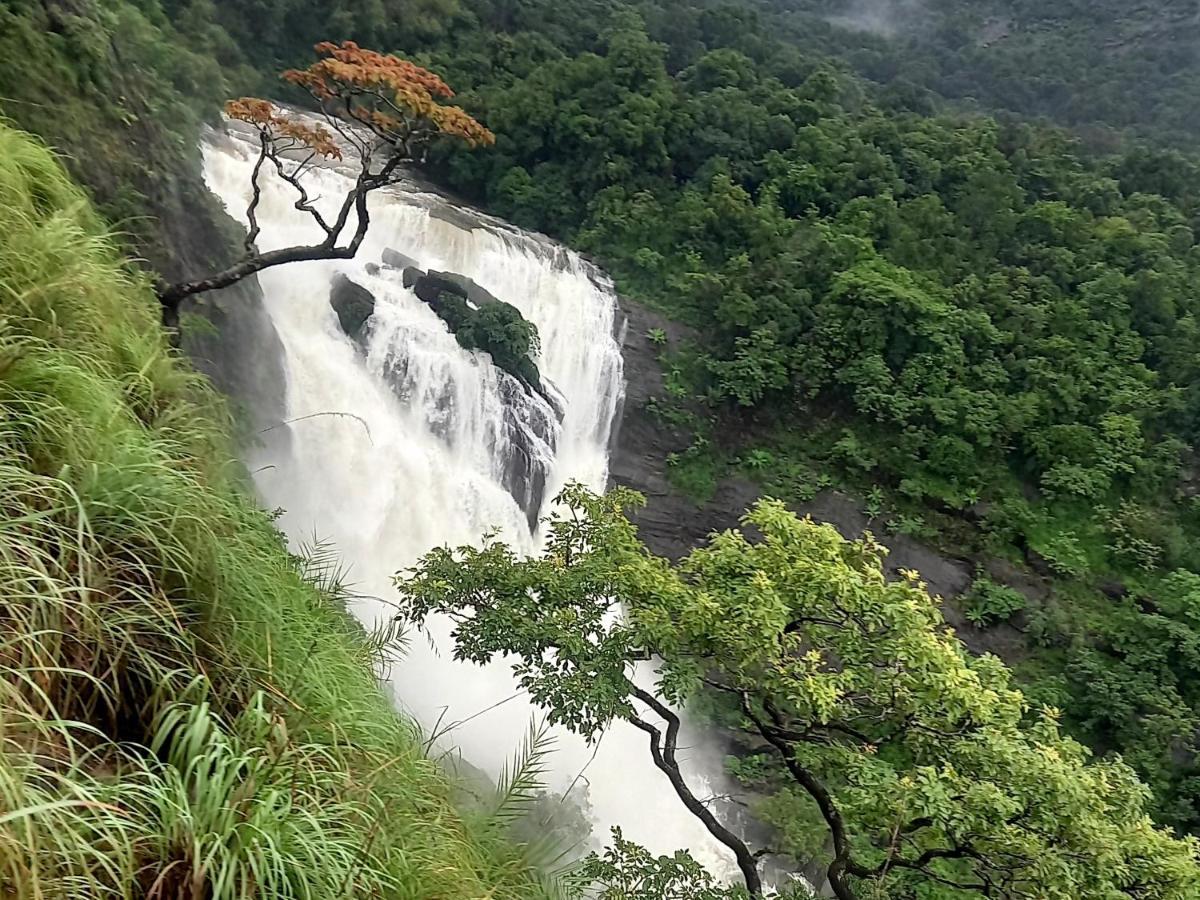 Coorg Coffee Park Farmstay Somvārpet Екстериор снимка