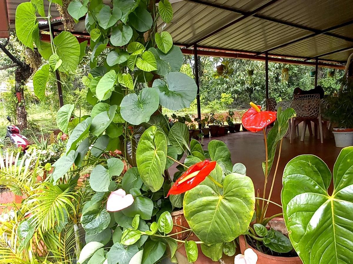 Coorg Coffee Park Farmstay Somvārpet Екстериор снимка