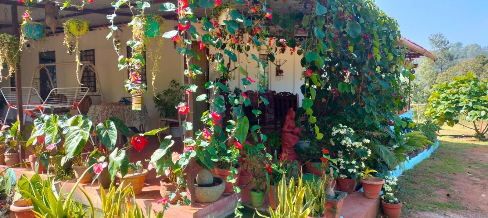 Coorg Coffee Park Farmstay Somvārpet Екстериор снимка