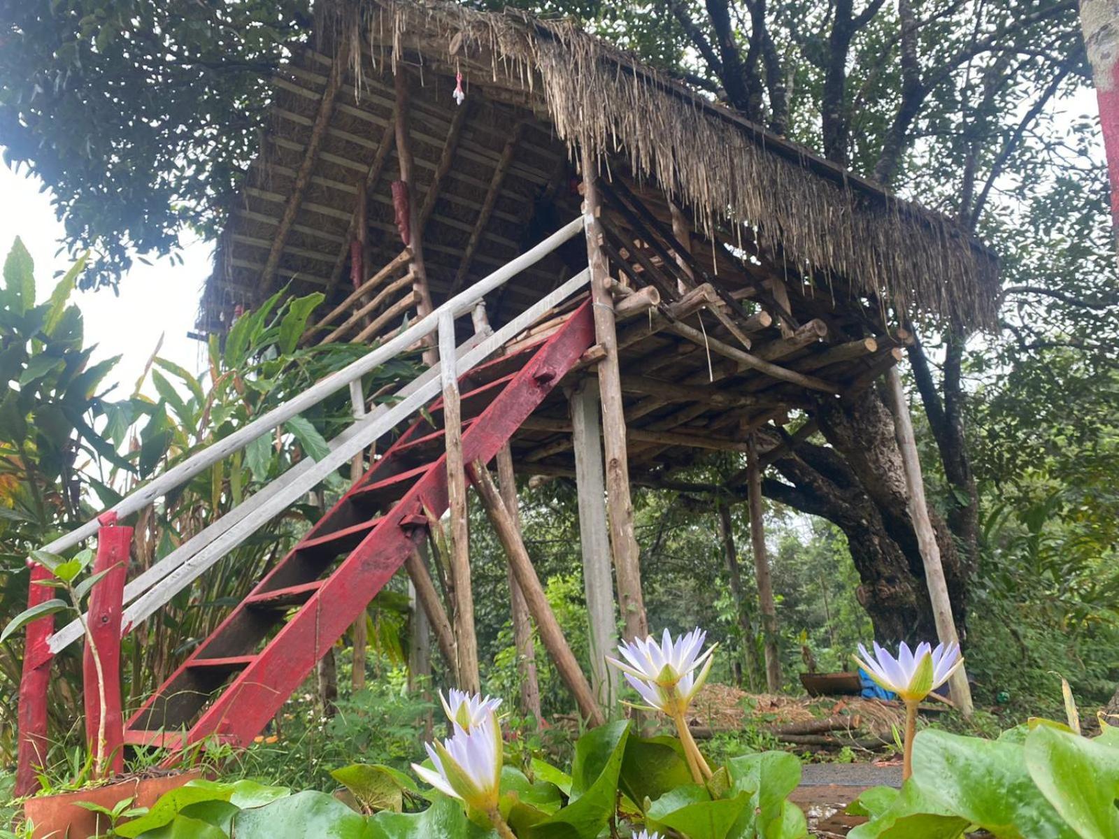 Coorg Coffee Park Farmstay Somvārpet Екстериор снимка
